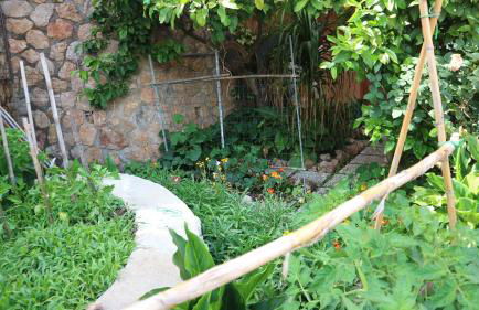 La casa di Elba e Mario - Foto 15