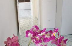 casa vacanza cilento PARDALIS - Foto 36