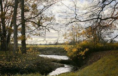 Walshford Lodge - Foto 23