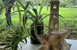 Villa del Poggio - Foto 33