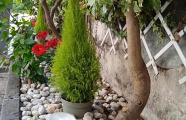 Capri Sky Loft - Photo 79