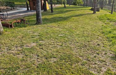 Vallicella House - Photo 30