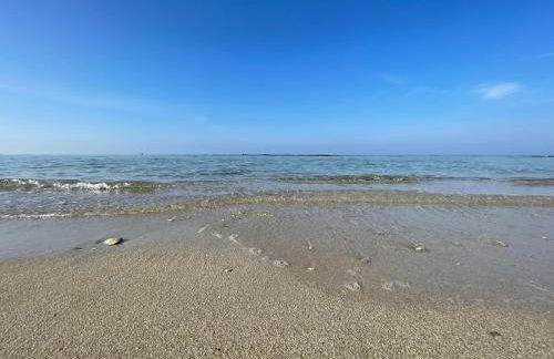 Le conchiglie relax in spiaggia - Foto 14