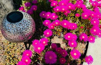 Guest House Lena, Nerezine, Mali Losinj - Foto 48