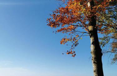 Idyllische Ferienwohnung nahe Nürburgring - Foto 8