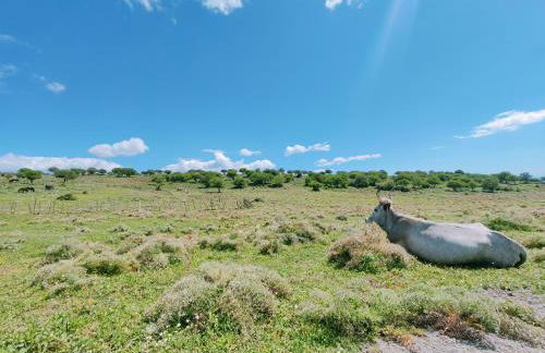 Aminth relax tra mare e colline - Foto 18