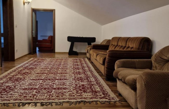 Bucovina-mountainhouse-5br-fireplace-hottub-wifi - Foto 22