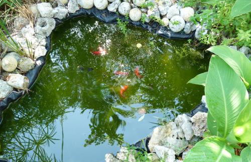 B&B Case Vacanza Orchidea marina di Macchia a Mattinata Gargano - Foto 6