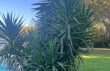 Aux portes de la Camargue studio balneo sauna et piscine - Foto 18