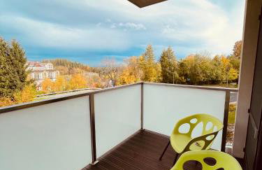 Triventi Apartament 2 sypialnie, garaż, blisko Tropikana i wyciąg na Kopę - Photo 16