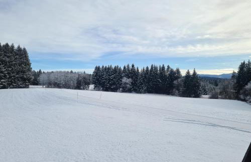 Ferienwohnung Huber am Deutensee - Foto 12