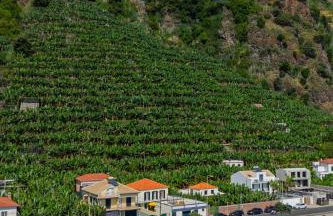 Maria Madalena - Foto 44