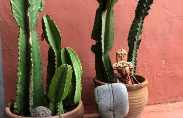 Casa Gomeron - Foto 35