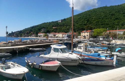 Kvarner Apartments II - Mošćenička Draga - Photo 5