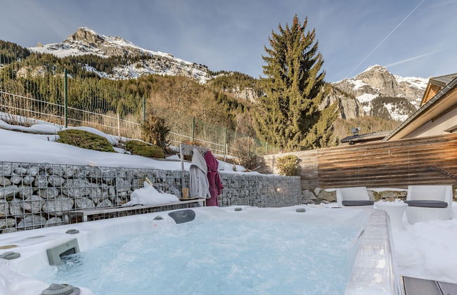 Les Edelweiss Mont-Blanc - Foto 13