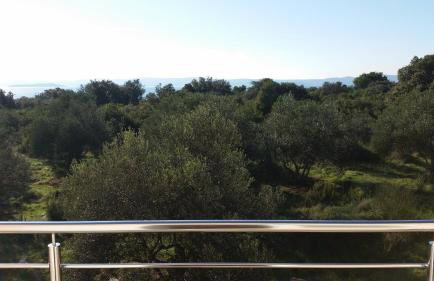 Olive Apartments - Photo 62