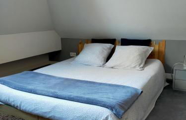 spéculoos et chicorée - Foto 23