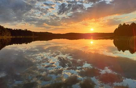 Cisowa Ostoja - Foto 29