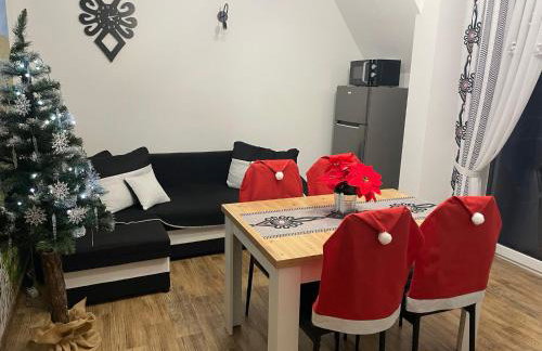 Tatrzańskie Zacisze Suche - Foto 14