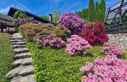 Ferienhaus-Zandt - Foto 15