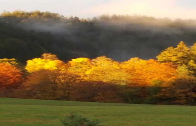 Charming Apartment, Harz Region - Foto 21