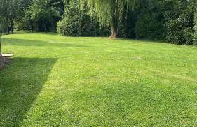 Gîte 2 personnes avec séjour et cuisine - Foto 16