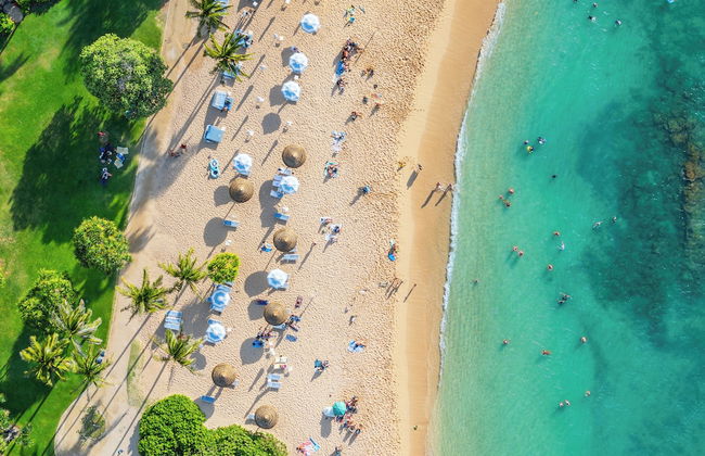 Oceanfront Vacation Villas at Turtle Bay - Foto 1