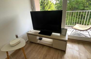 Vue du Doubs T4 cosy très bien situé - Foto 19