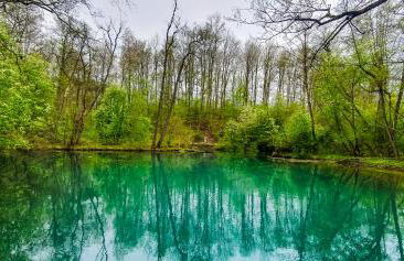 Ferienhaus Harzblick - Photo 23