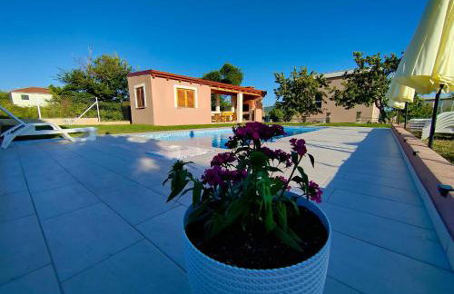 Villa Hirundinidae - Photo 39