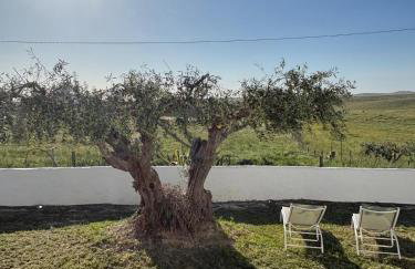 Canto da Planície - Photo 57