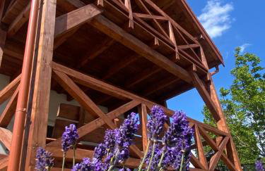 Domki pod Brzózką - Foto 1