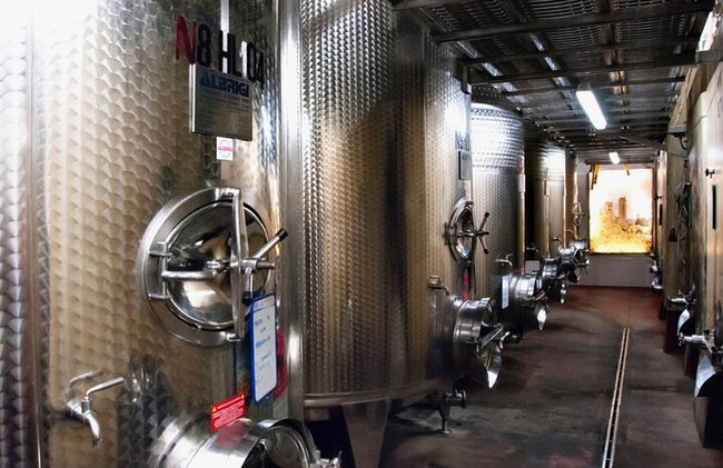 Cata de vinos "Gourmet" en Cesani's - Foto 10