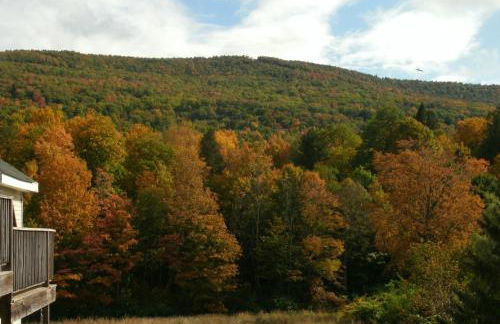 Townhouse W Private Deck & Mt View - Foto 48