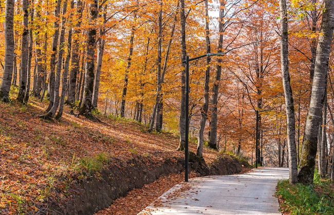 Crystal Residence - Foto 40