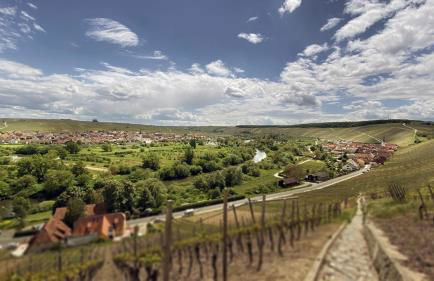 Ferienwohnung Weininsel - Foto 9