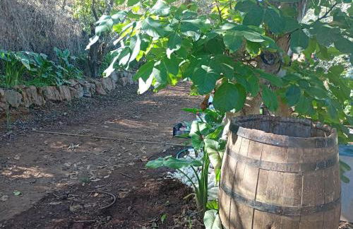 Holiday Home El pajal House Relax by Interhome - Foto 24