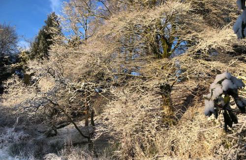 Unique Orchard Lodge for couples with hot tub - Photo 56