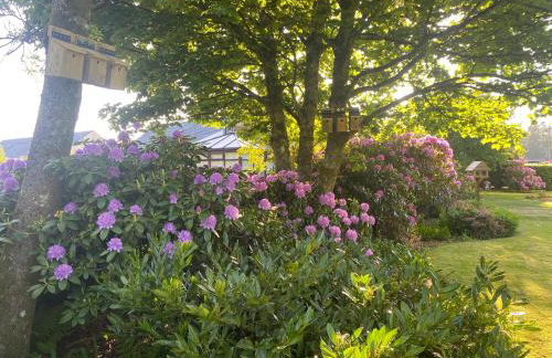 Houghton Park Holiday Cottage - Foto 7