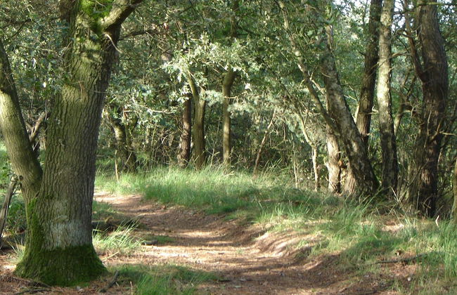 Kempen Comfort With Sauna & Tub - Foto 39