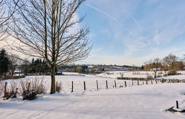 3 bedroom House in Bütgenbach with garden and terrace - Photo 19