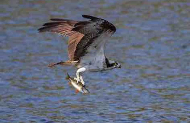 a Fairytale Thatched Highland Cottage - Foto 36