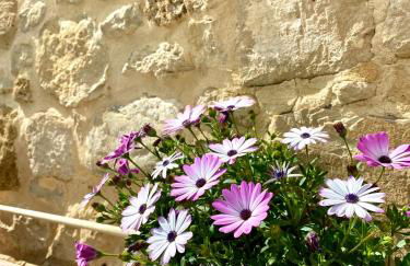 Serenity Stone House, a Blissful Retreat - Foto 19