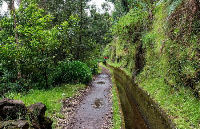 Chalet do Monte Porto Moniz by Madeira Sun Travel - Foto 28