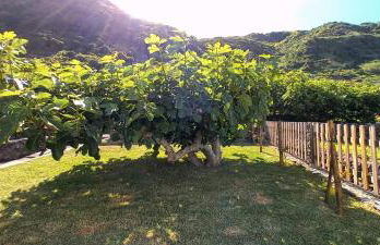 Alo Baía São Lourenço - Foto 30