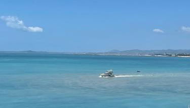 OPERA PROMENADE 4 Renovated 3 Bedrooms Balcony Sea View AC - Foto 2