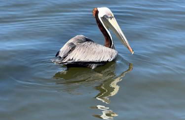 Playing Hookie LLC - Foto 38