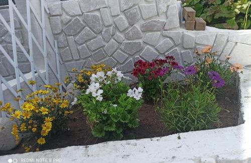 Rosa dei Venti house - Photo 34