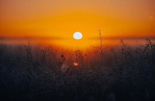 Robin Cabin with hot tub - Foto 28