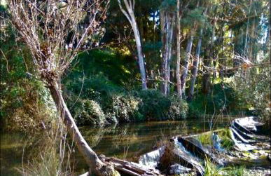 Alto de Torrecillas - Photo 36